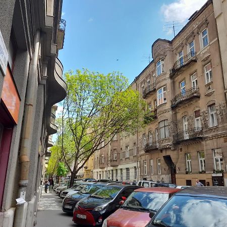 Stylish Homes Downtown Buda 布达佩斯 外观 照片
